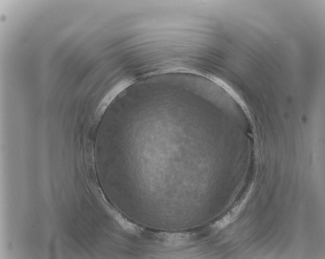 X0000073451289200608111341