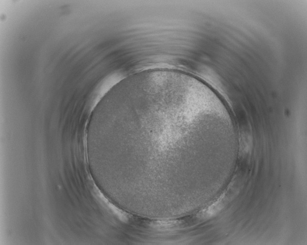 X0000073451290200608111341