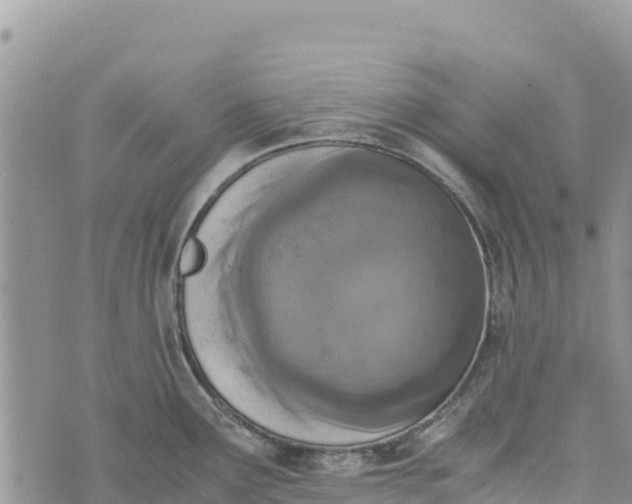 X0000073451291200608111341