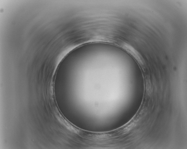 X0000073451292200608111341