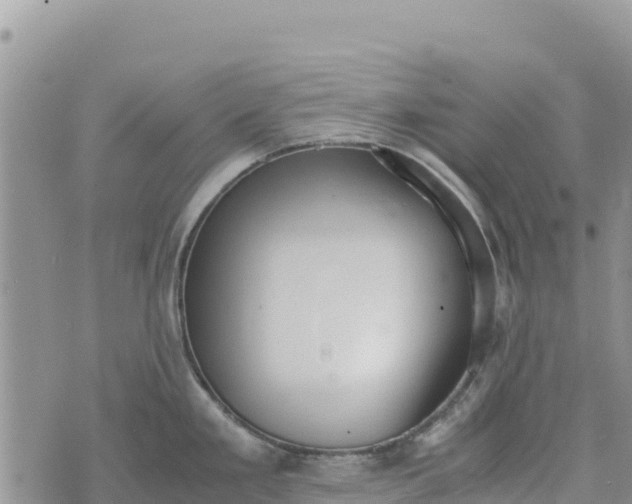 X0000073451293200608111341