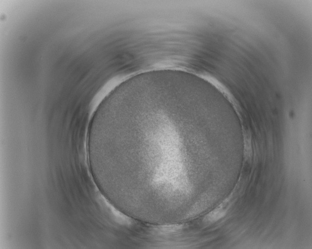 X0000073451294200608111341