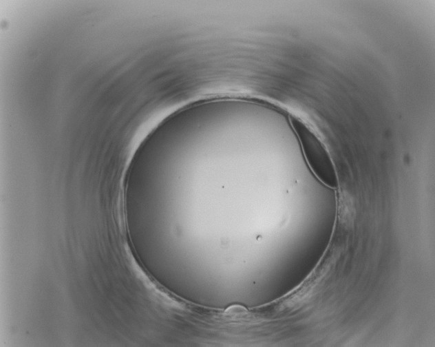 X0000073451295200608111341