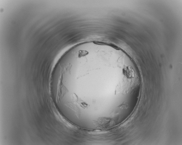 X0000073451296200608111341