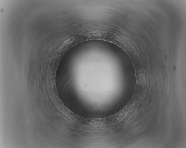 X0000073451297200608111340