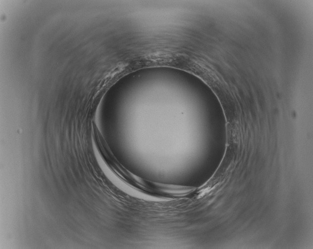 X0000073451298200608111340