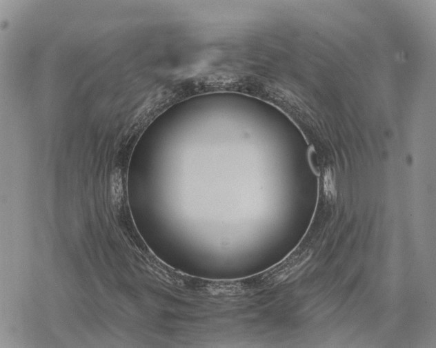 X0000073451299200608111340