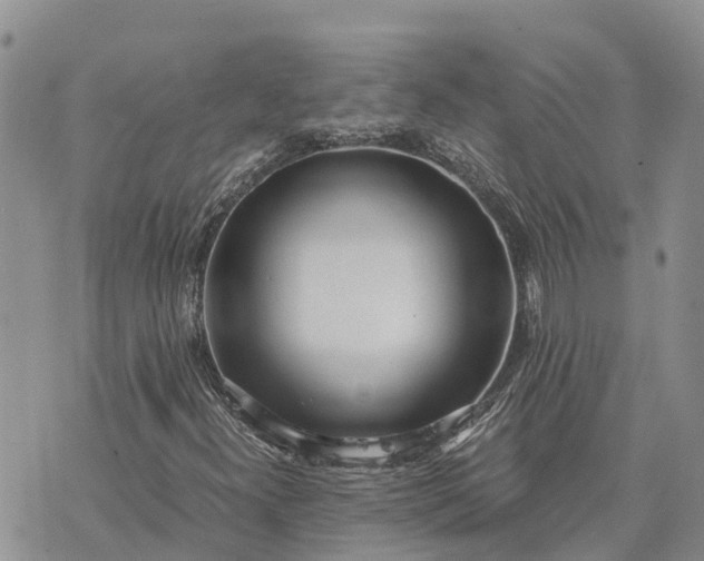 X0000073451300200608111340