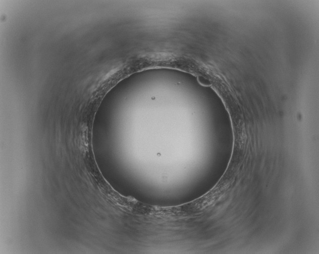 X0000073451301200608111340