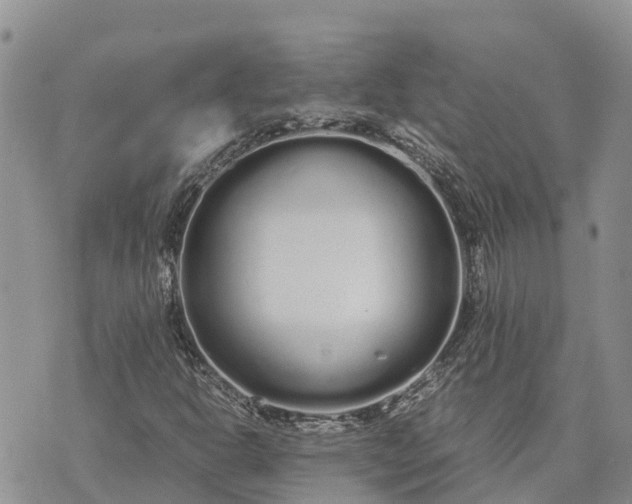 X0000073451302200608111340