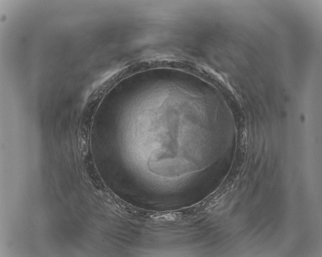 X0000073451303200608111340