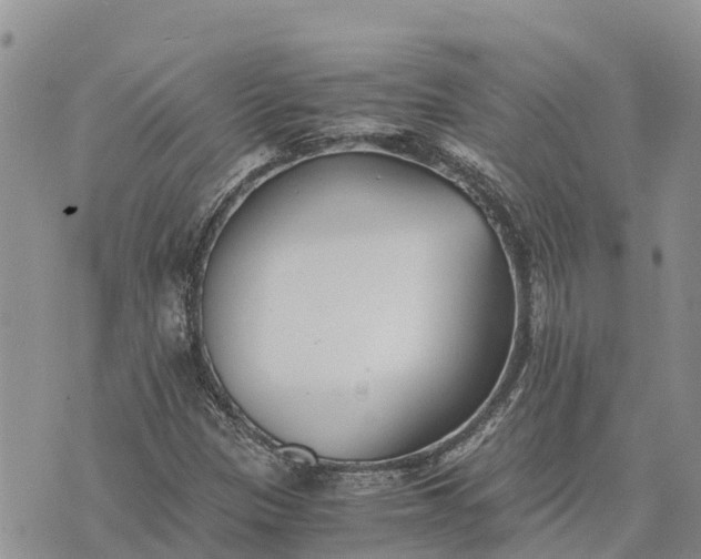 X0000073451305200608111340