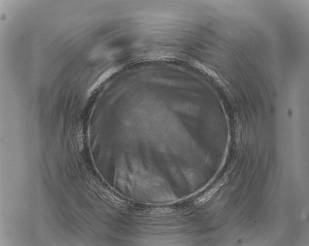 X0000073451306200608111340