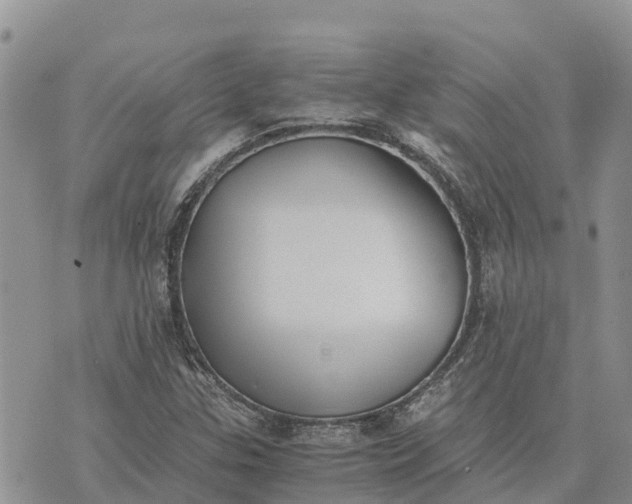 X0000073451307200608111340