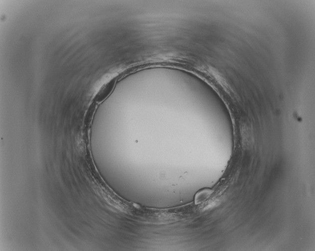 X0000073451308200608111340