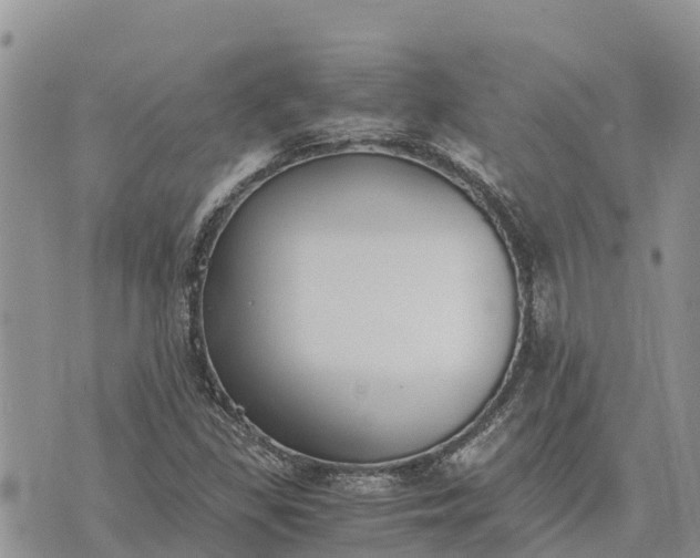 X0000073451309200608111340