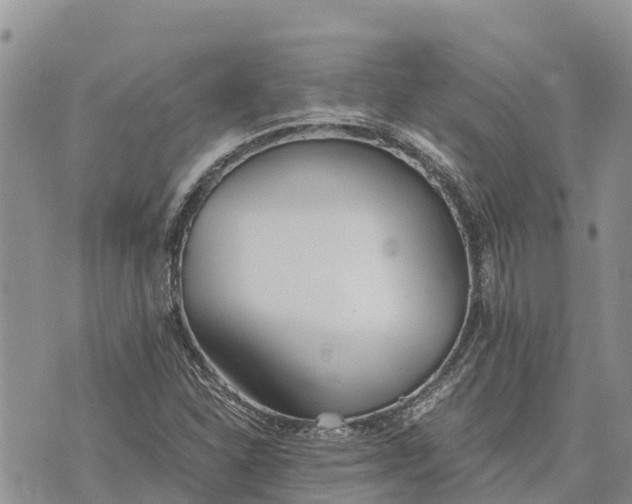 X0000073451310200608111340