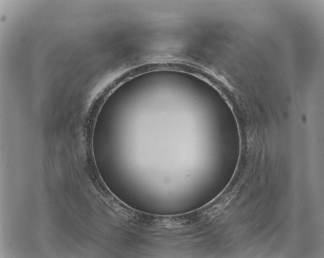 X0000073451311200608111340