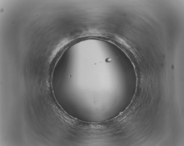 X0000073451312200608111340