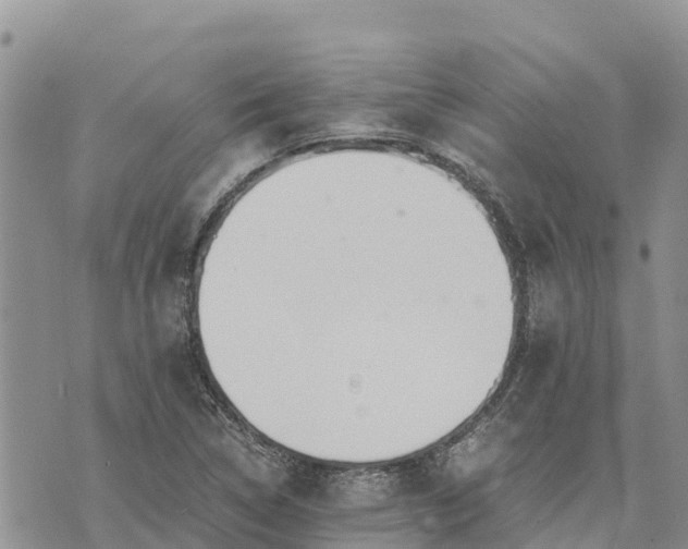 X0000073451314200608111340