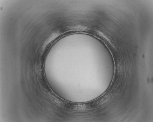 X0000073451315200608111340