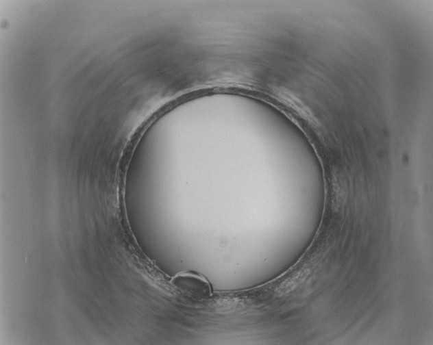 X0000073451316200608111340