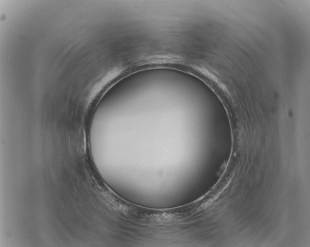 X0000073451317200608111340