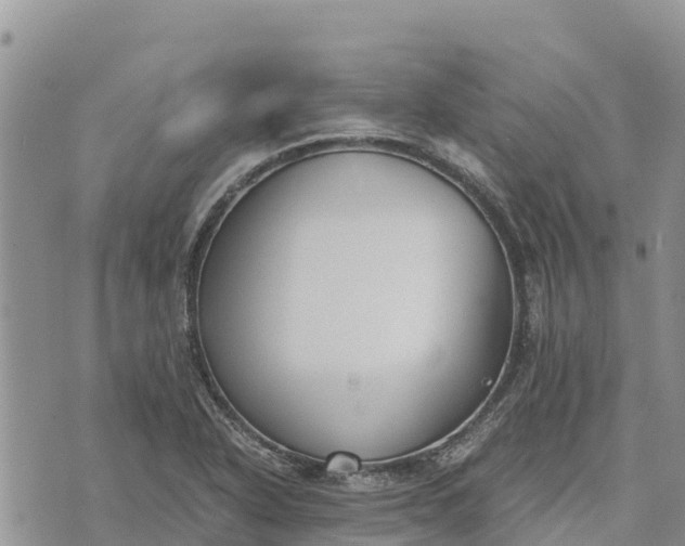 X0000073451318200608111340