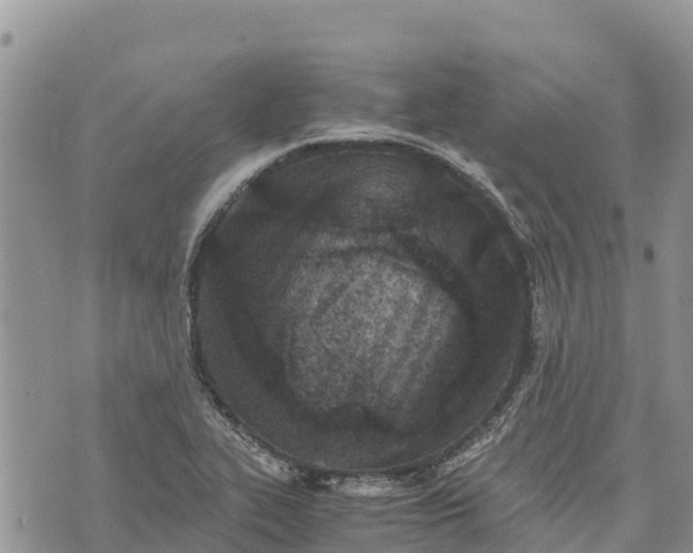 X0000073451319200608111340