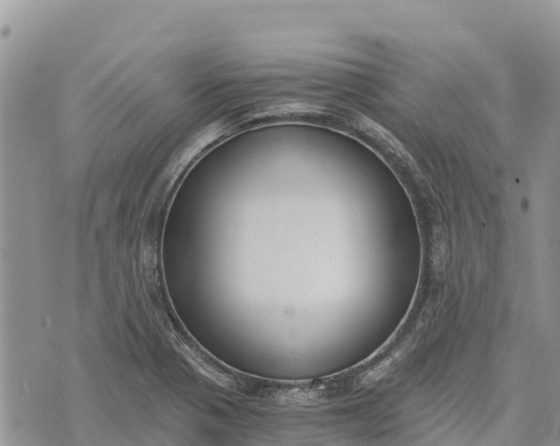 X0000073451321200608111340