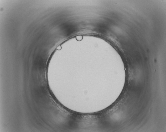 X0000073451322200608111340