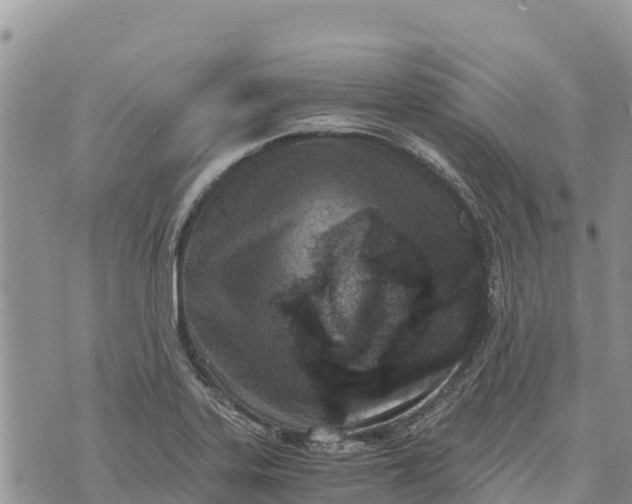 X0000073451323200608111340