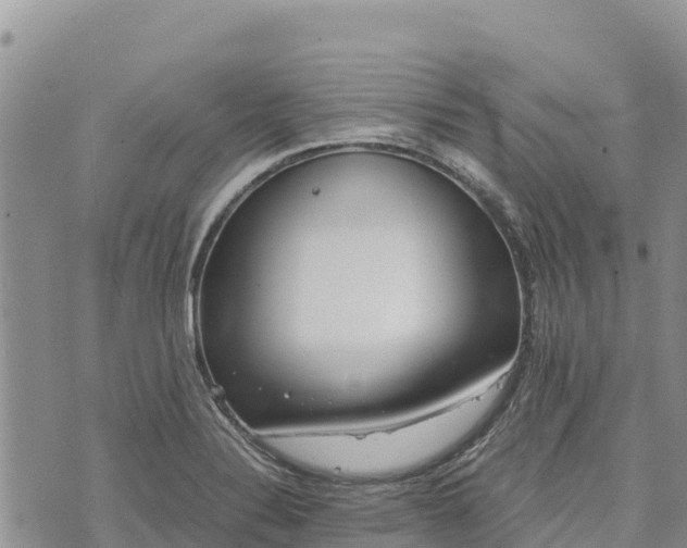 X0000073451324200608111340