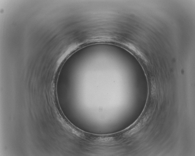 X0000073451325200608111340