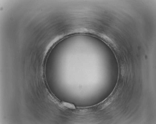 X0000073451326200608111340