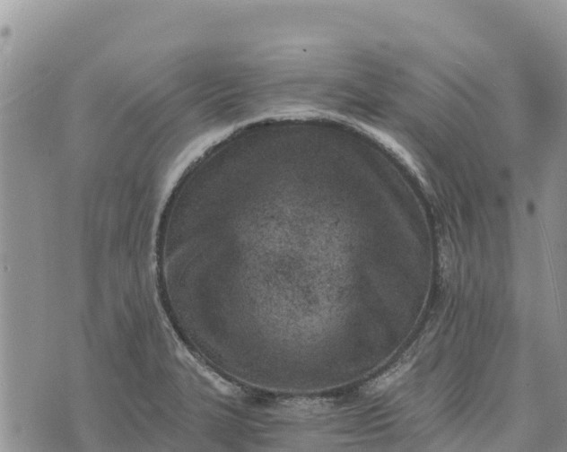 X0000073451327200608111340