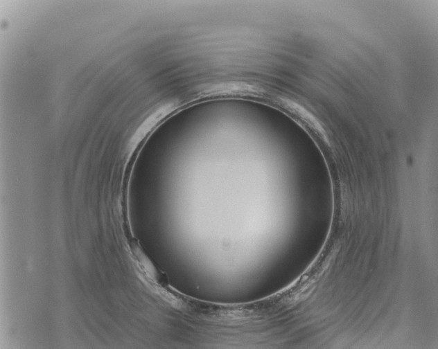 X0000073451330200608111340