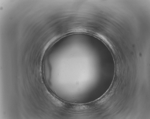 X0000073451331200608111340