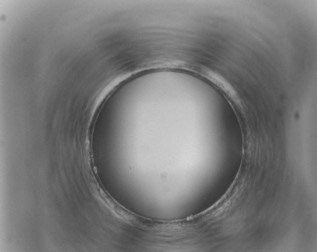 X0000073451332200608111340