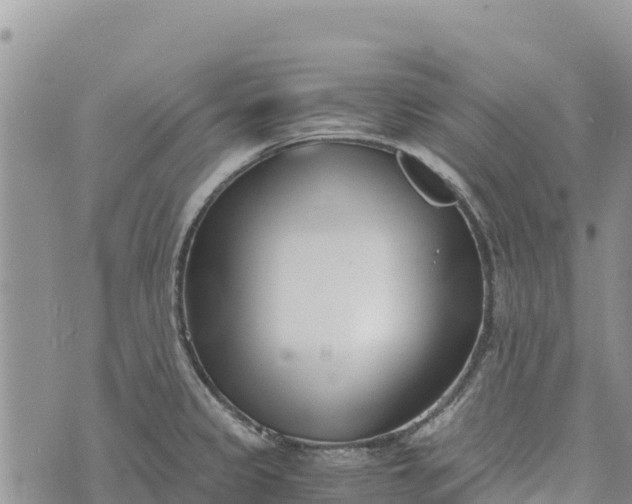 X0000073451333200608111340