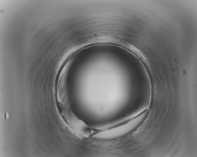 X0000073451334200608111340