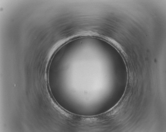 X0000073451335200608111340