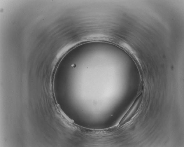 X0000073451336200608111340