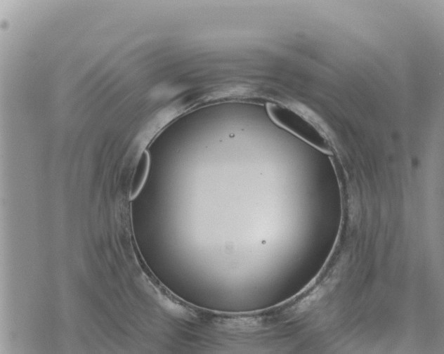 X0000073451337200608111341