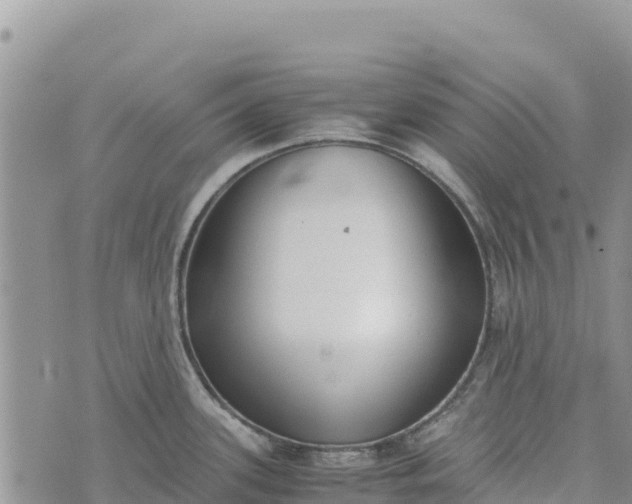 X0000073451339200608111341