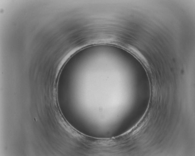 X0000073451340200608111341