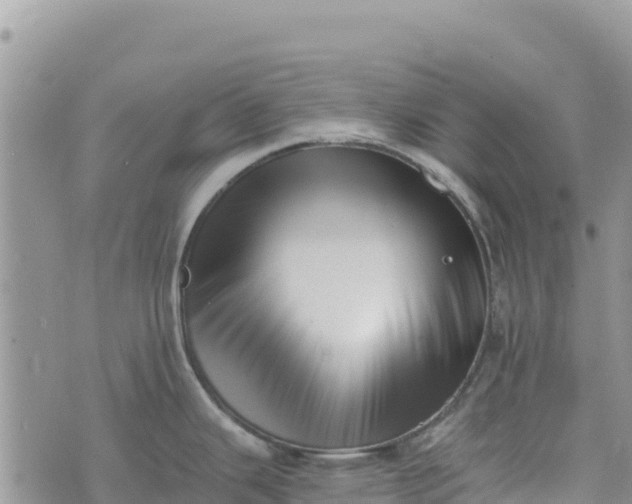 X0000073451343200608111341