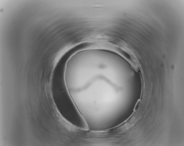 X0000073451344200608111341