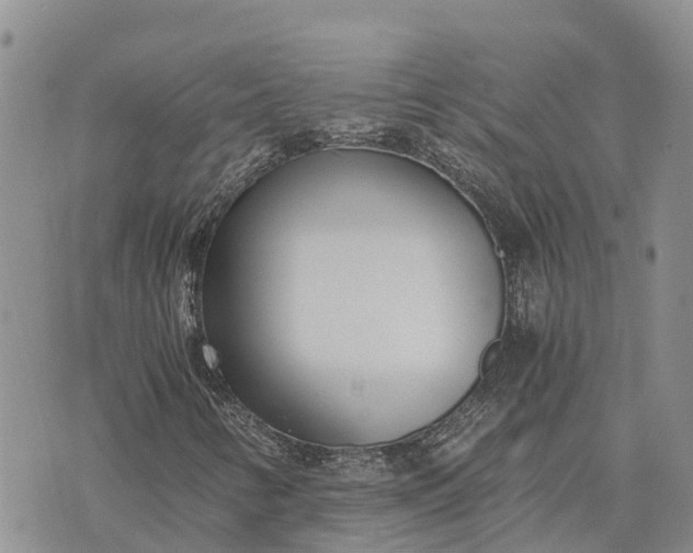 X0000073451346200608111340