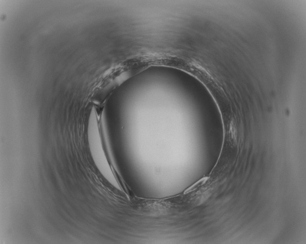 X0000073451348200608111340